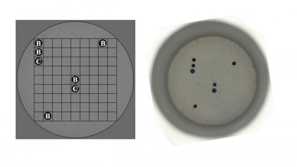 and analyzed by software connected to the equipment (Herraez-Hernandez et al., 2013).