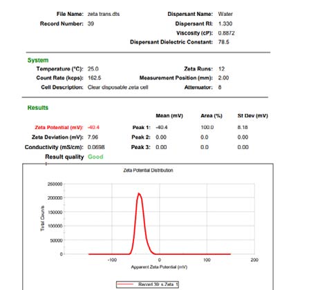 Figure-9: Representing the SEM imaging of optimized transfersomal patch after stability studies.