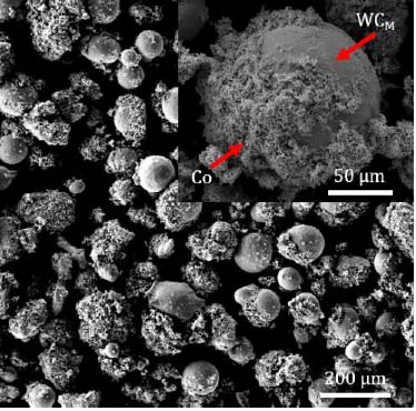 (a) e (b) esquemática elaborada por Colacioppo (2020).