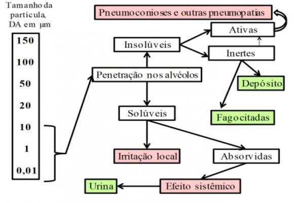 Fig. 6 (a): Coleta individual com a bomba de amostragem (pessoal) -frente 5 (d). Coleta individual (pessoal)costas (FUNDACENTRO, 2009).